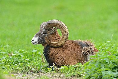 禁售《原子之心》？索尼已正式收到乌政府的信函